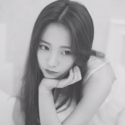 bob综合在线体育